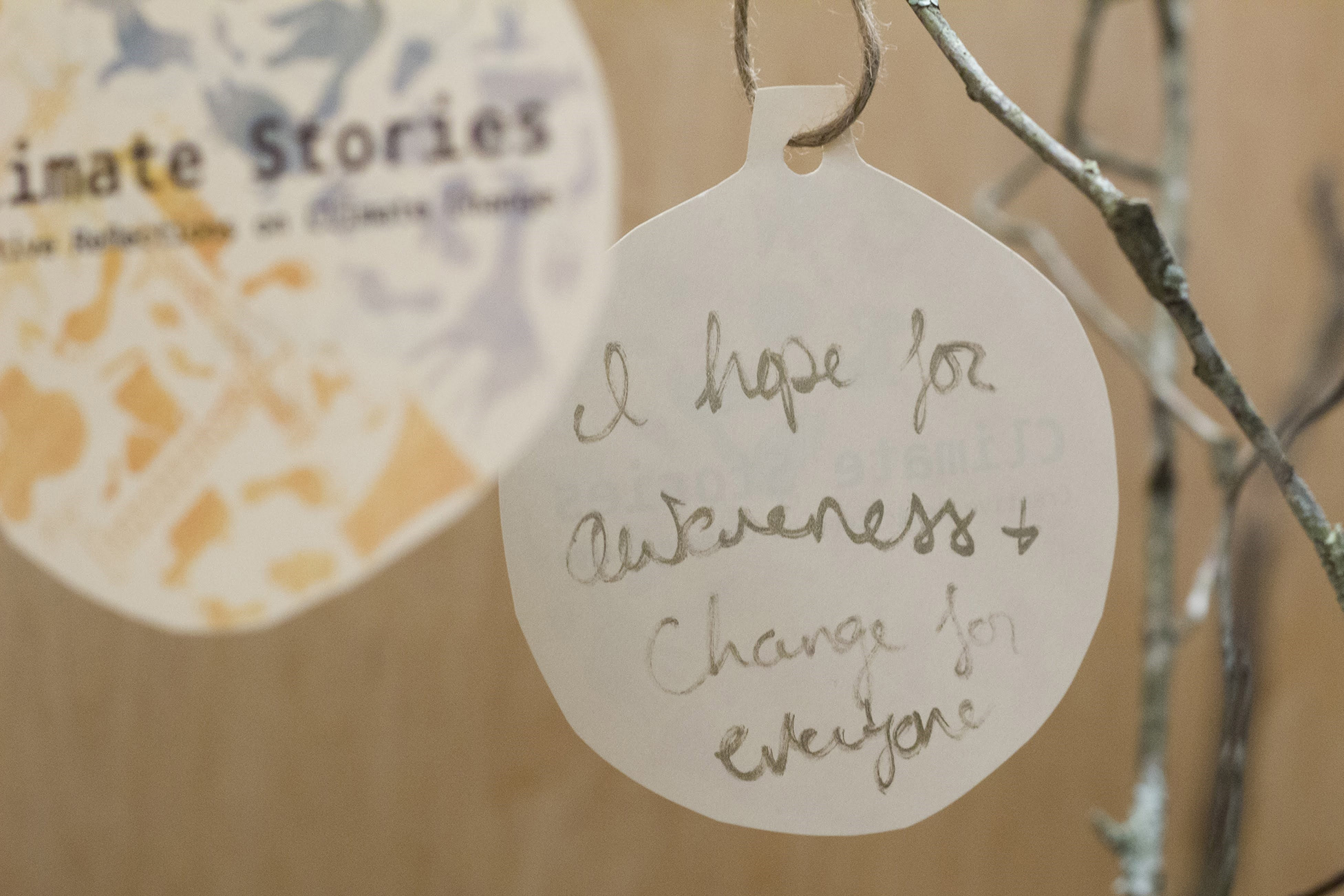 Showcase ornament with description 'I hope for awareness and change for everyone'